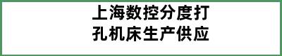 上海数控分度打孔机床生产供应