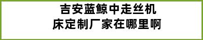 吉安蓝鲸中走丝机床定制厂家在哪里啊