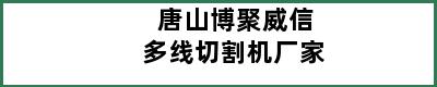 唐山博聚威信多线切割机厂家