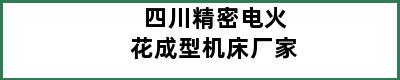 四川精密电火花成型机床厂家