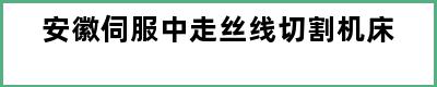 安徽伺服中走丝线切割机床