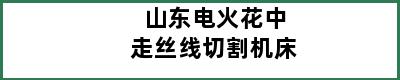 山东电火花中走丝线切割机床