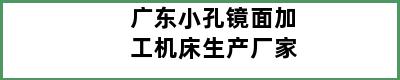 广东小孔镜面加工机床生产厂家