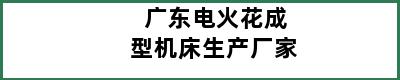 广东电火花成型机床生产厂家