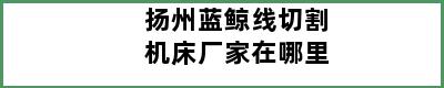 扬州蓝鲸线切割机床厂家在哪里