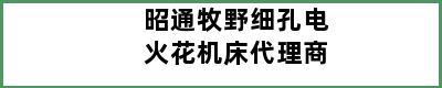 昭通牧野细孔电火花机床代理商