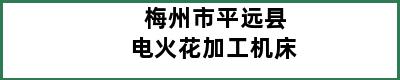 梅州市平远县电火花加工机床