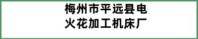 梅州市平远县电火花加工机床厂