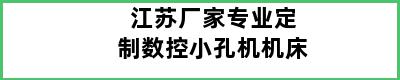 江苏厂家专业定制数控小孔机机床