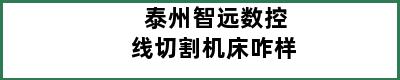 泰州智远数控线切割机床咋样