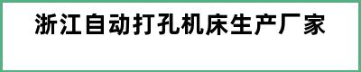 浙江自动打孔机床生产厂家