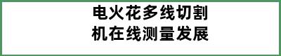 电火花多线切割机在线测量发展