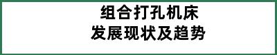 组合打孔机床发展现状及趋势