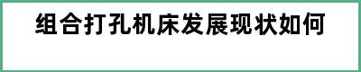 组合打孔机床发展现状如何