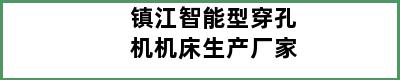 镇江智能型穿孔机机床生产厂家